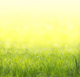 Spring green, yellow, sunny background