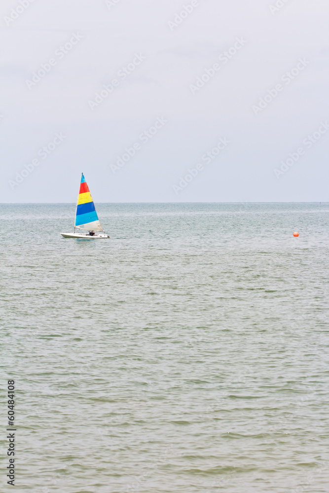 sailboats racing on the sea