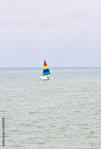 sailboats racing on the sea