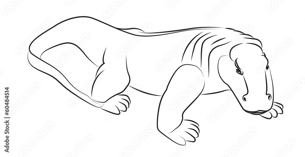 Obraz premium Komodo Dragon