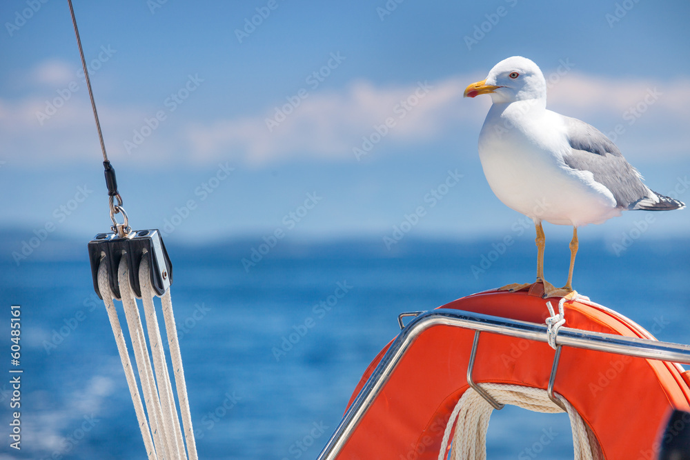 Naklejka premium Seagull