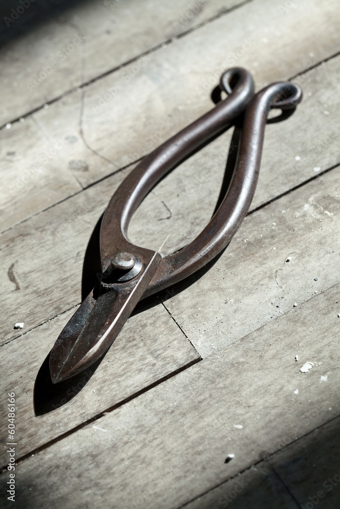 Rusty scissor (stilllife)
