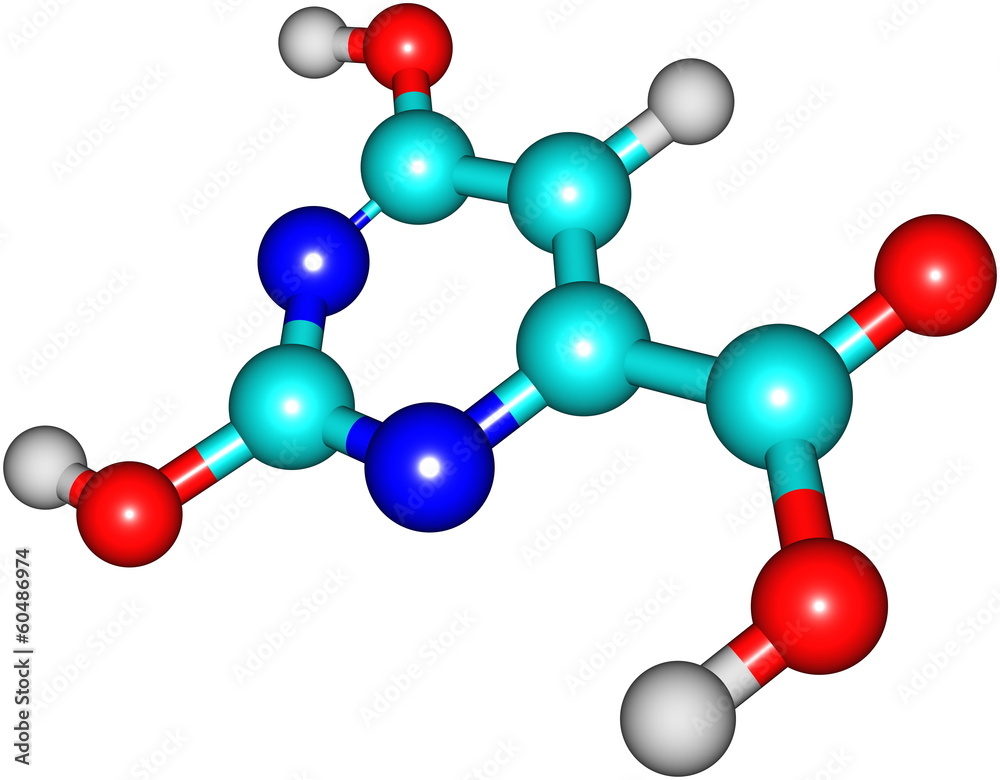 Orotic acid molecular structure isolated on white