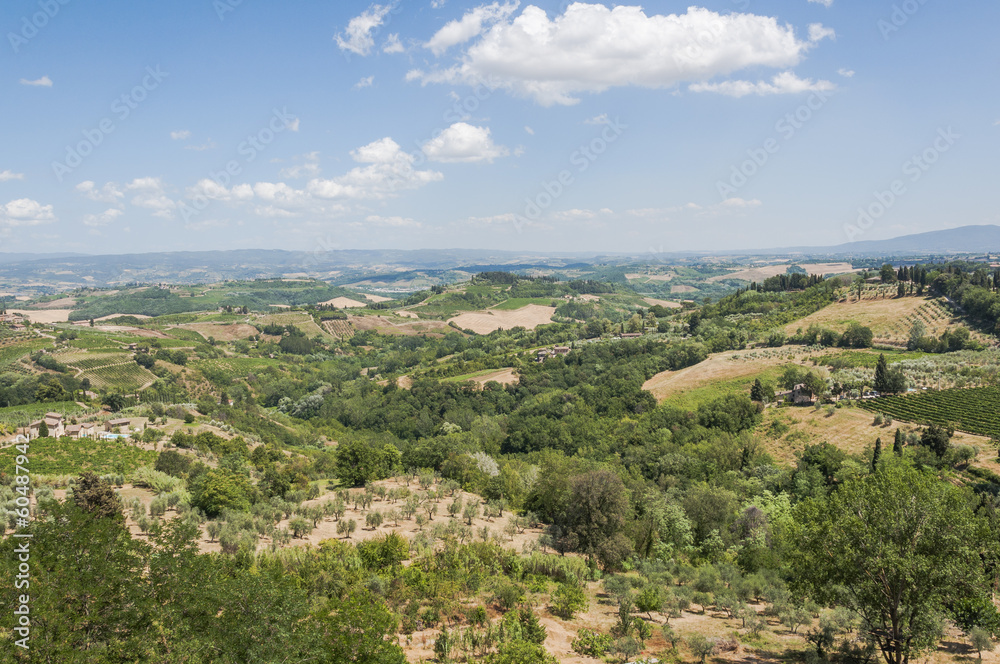 San Gimignano, Toskana, Olivenbäume, Weinberge, Italien