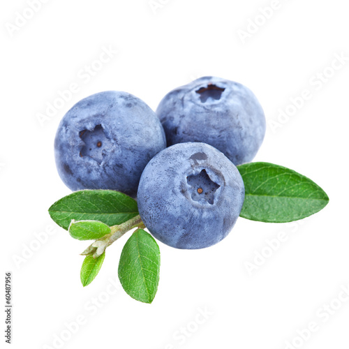 Blueberries isolated