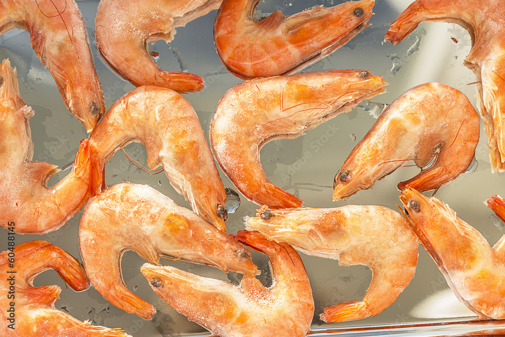 shrimp on a plate shrimp on a plate