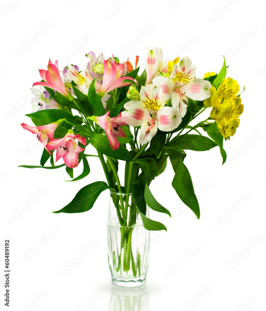 bouquet of multicolored alstroemeria