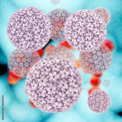 Papillomavirus - 3d Render photo