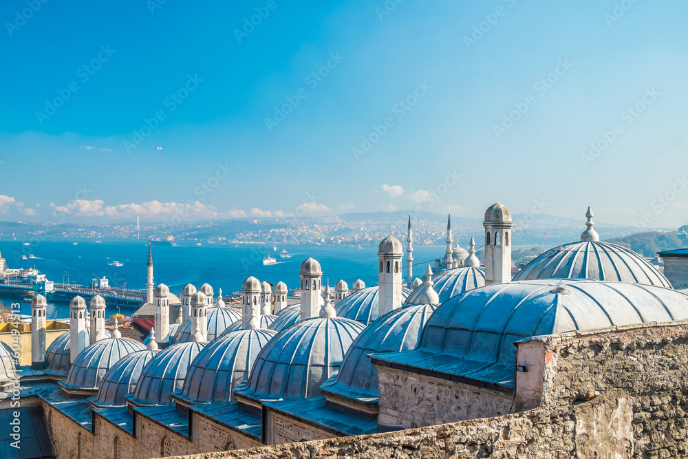 Fototapeta premium Süleymaniye mosque, Istanbul