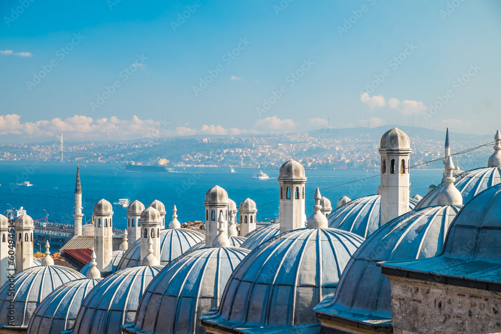 Obraz premium Meczet Sulejmana Wspaniałego w Stambule