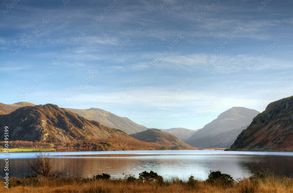 Grass on the shore of Ennerdale