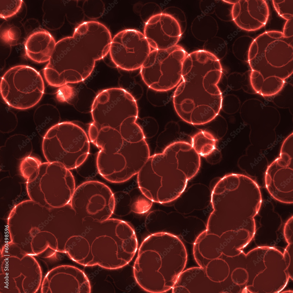 Bacteria Bacteria
