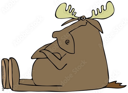 Fotografie Obstinate moose