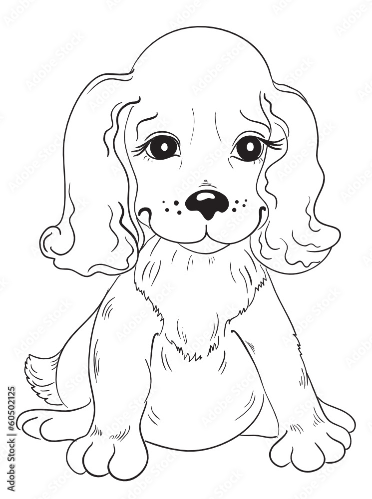 Cute puppy Cute puppy
