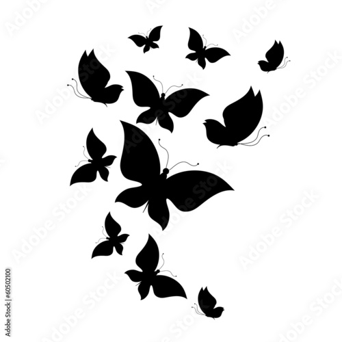 butterflies design