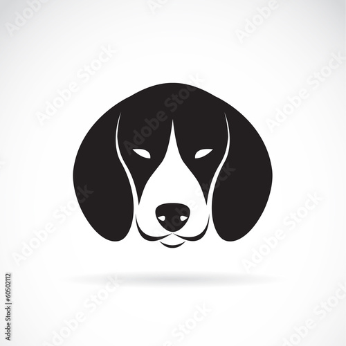 Vector image of an dog beagle