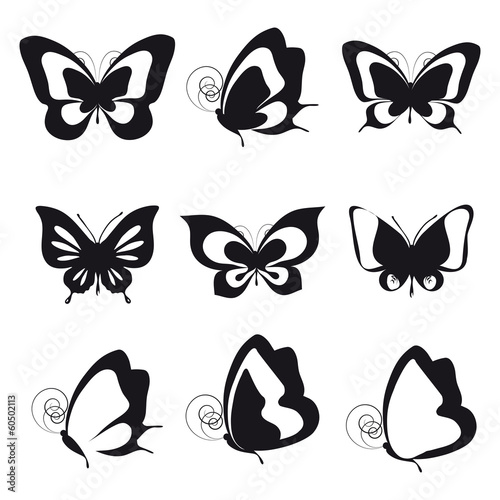 butterflies design