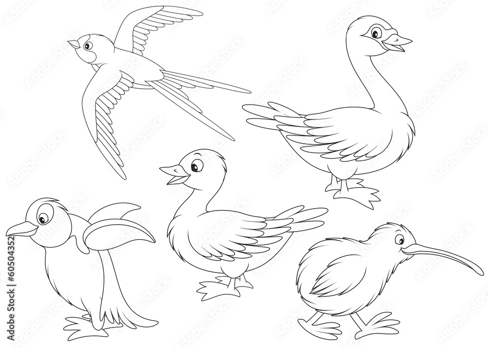 Martin, duck, swan, kiwi and penguin