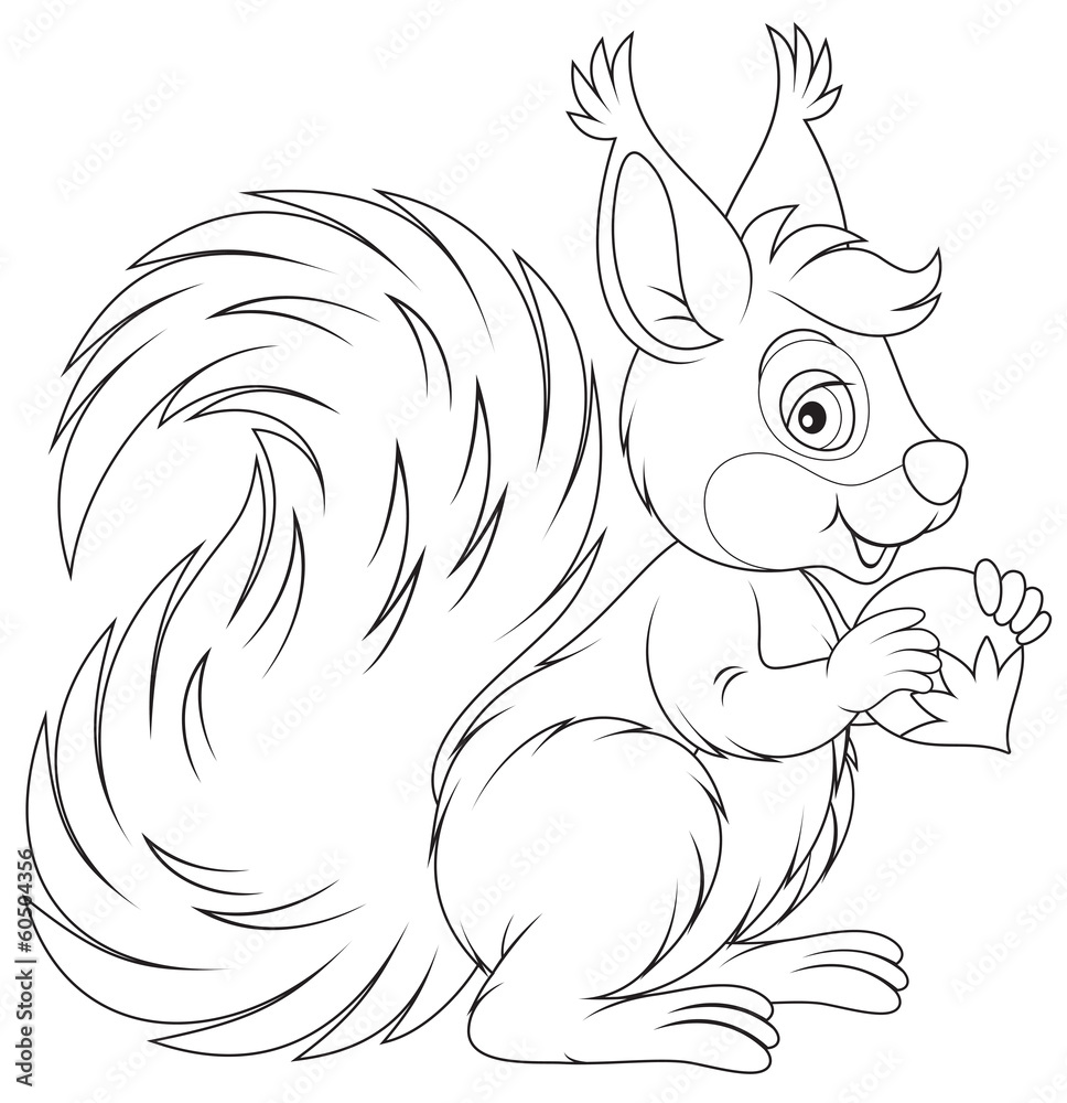 Squirrel Squirrel