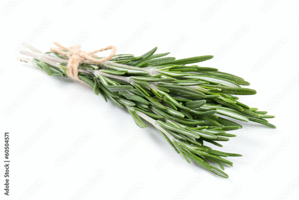 Fototapeta premium rosemary isolated on white background