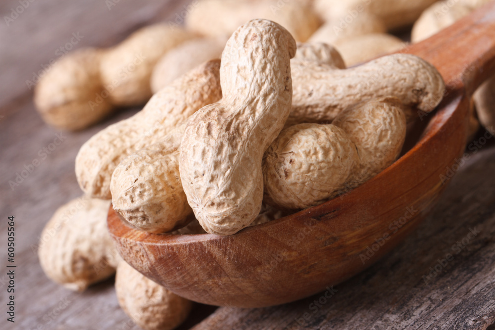 peanuts in shell closeup in brown wooden spoon peanuts in shell closeup in brown wooden spoon