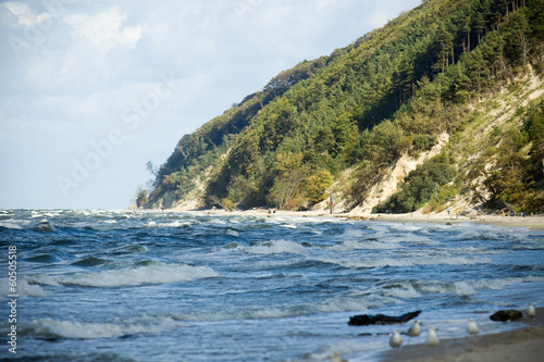 Baltic Sea Poland Wolin - coast