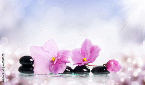 Black spa stones and flower on colorful background