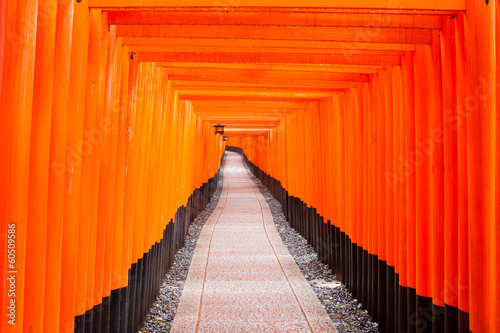 Fushimi Inari Shrine  Kyoto  Japan