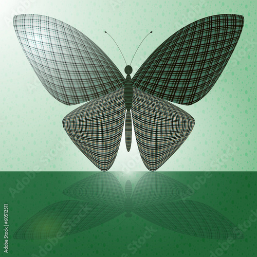 butterfly on the wall and its reflection on a horizontal surface
