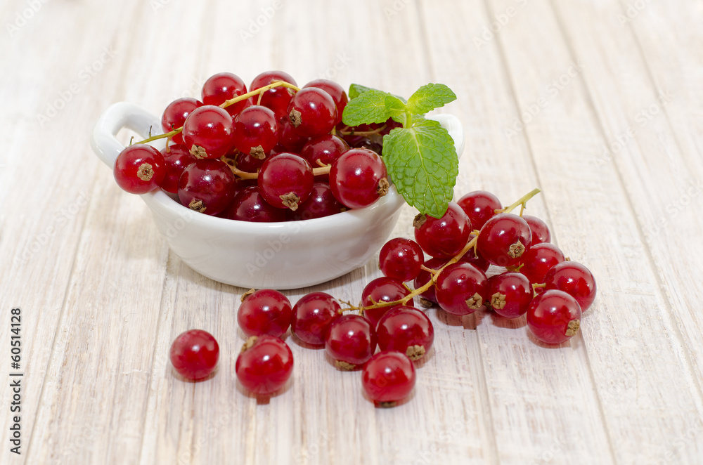 Redcurrant Redcurrant