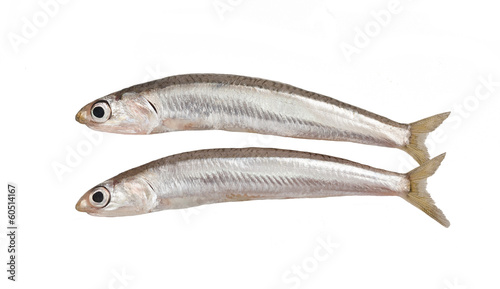 Sand smelts