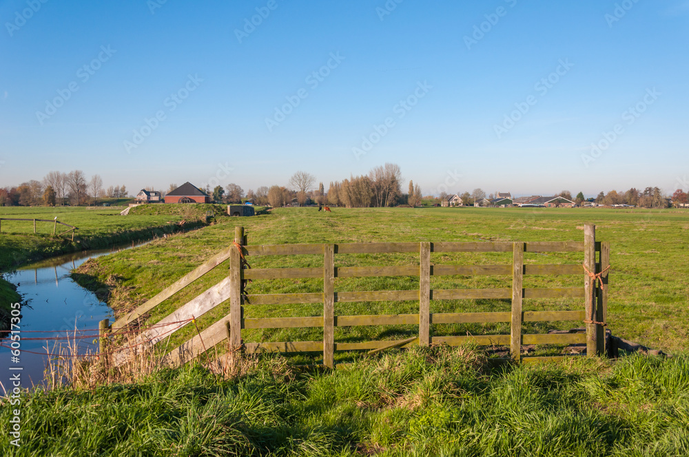 Wooden fence and a meandering ditch