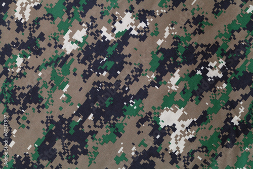 Camouflage photo
