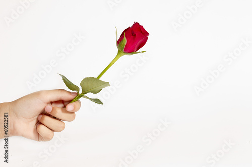 handing a rose as a representation of love to someone