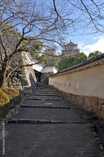 Himeji Castle  Kyoto  Japan