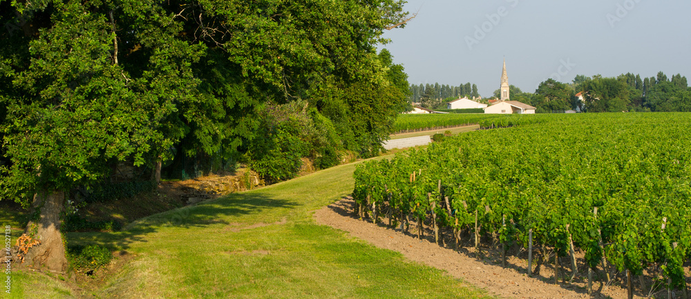 Small village in vineyards