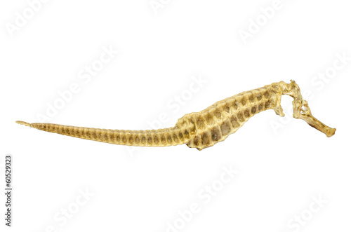 Dried Sea Horse isolated on white background