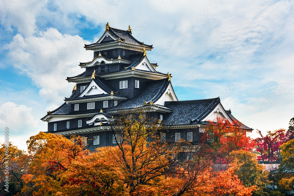 Fototapeta premium Zamek Okayama w Japonii
