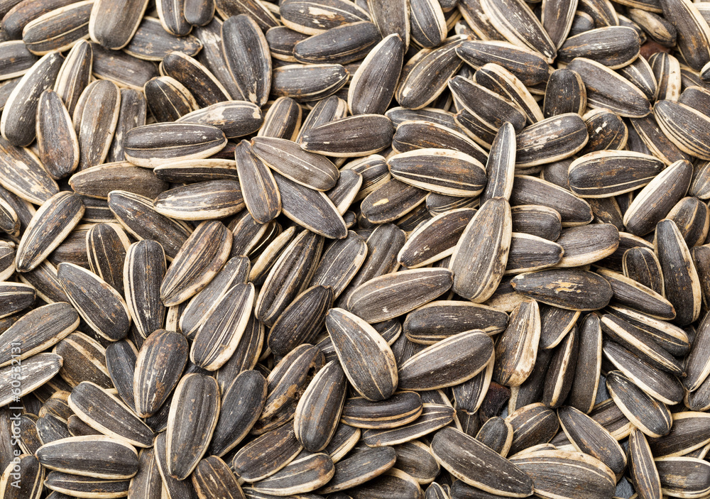 Sunflower seed Sunflower seed