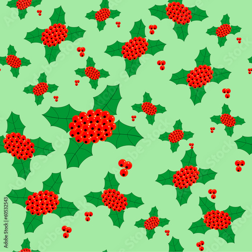 ilex aquifolium