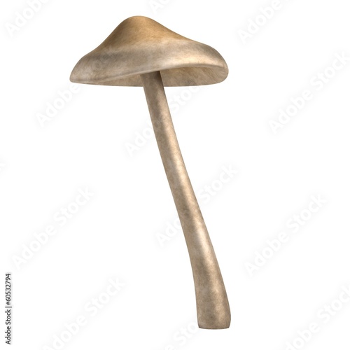 realistic 3d render of mushroom photo