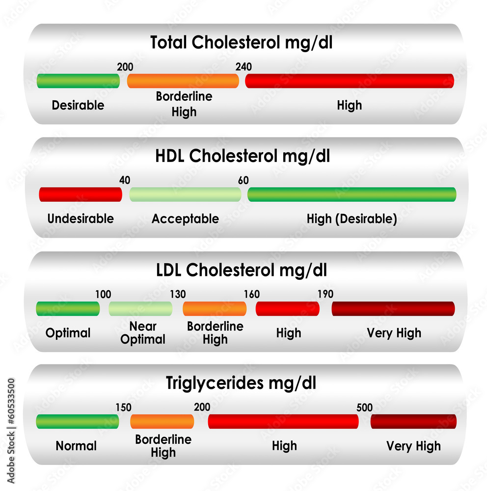 cholesterol-chart-in-mg-dl-units-of-measure-stock-illustration-adobe-stock