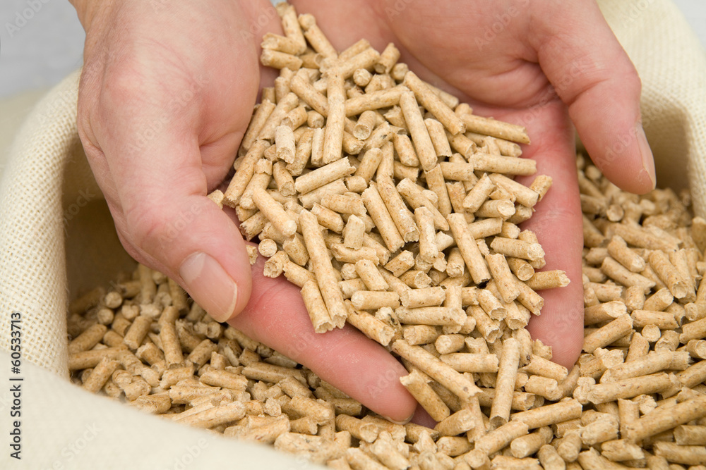 Compressed wood pellets for renewable energy Compressed wood pellets for renewable energy