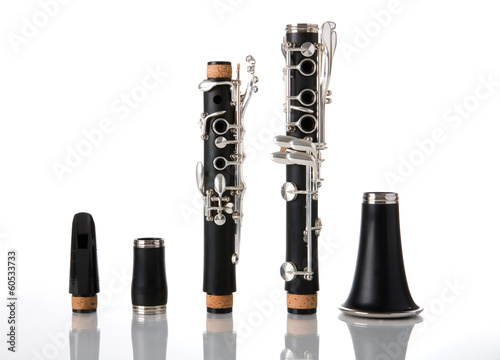 Canvastavla The pieces of a clarinet