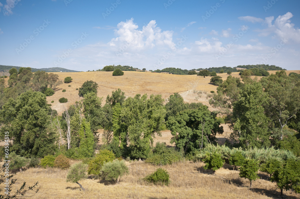 Andalusian countryside from El Bosque town, Cadiz, Spain
