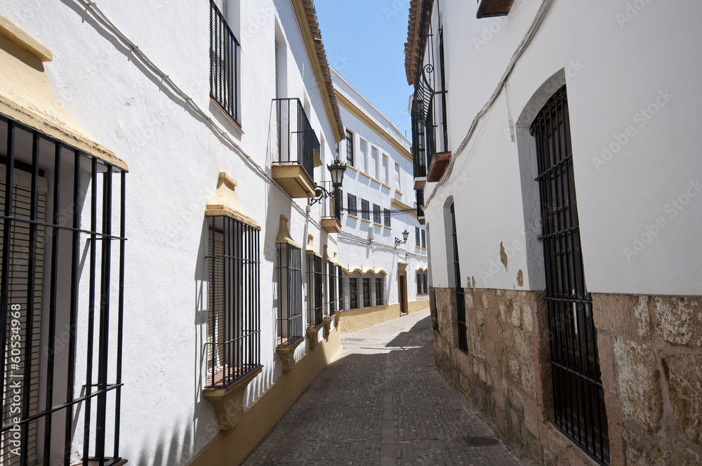Traditional street in Ronda village, Malaga, Andalusia, Spain Traditional street in Ronda village, Malaga, Andalusia, Spain