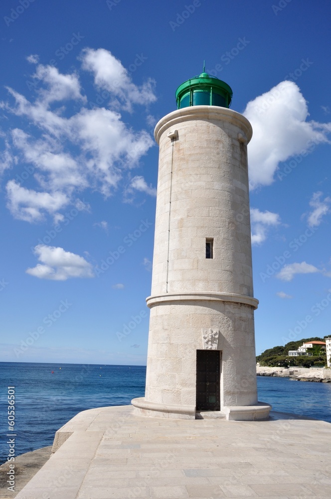 cassis cassis