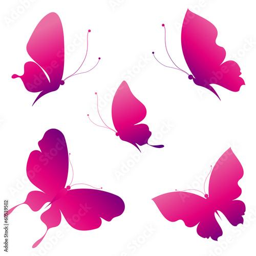Fototapeta Naklejka Na Ścianę i Meble -  butterflies design