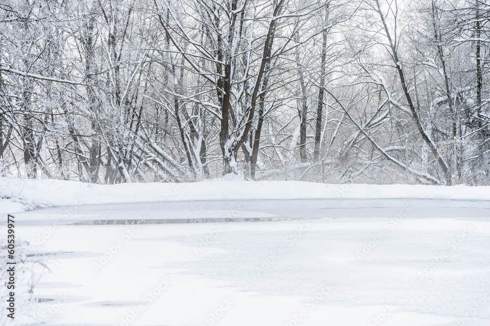 not frozen pond in winter not frozen pond in winter
