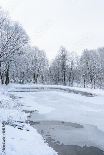 Wallpaper Mural not frozen pond in winter Torontodigital.ca
